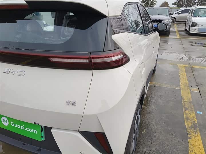 Фото 8 - BYD Seagull