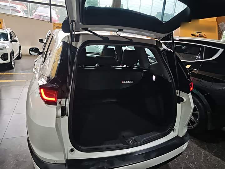 Фото 9 - Honda Breeze