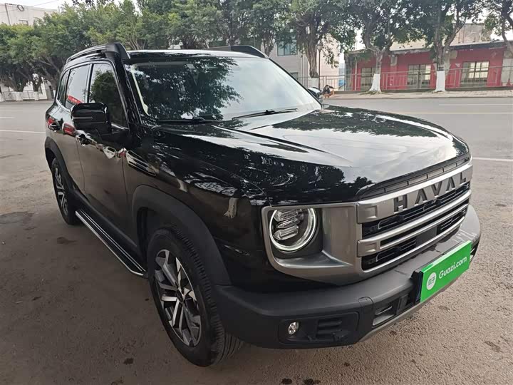 Фото 4 - Haval Dargo