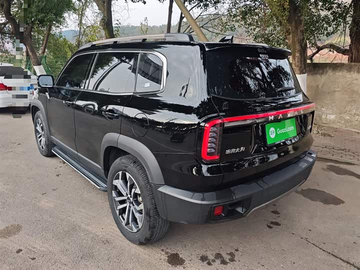 Фото 5 - Haval Dargo