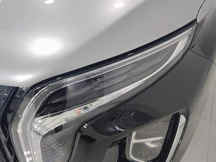 Фото 5 - Hongqi HS7 Hybrid