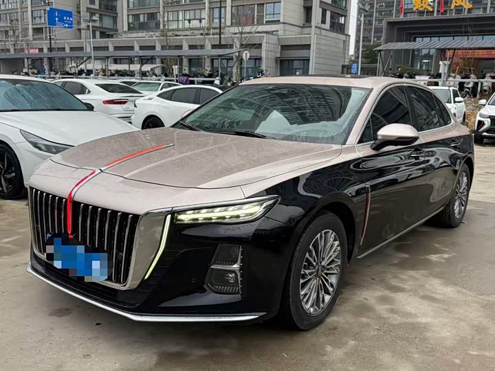 Фото 1 - Hongqi H5