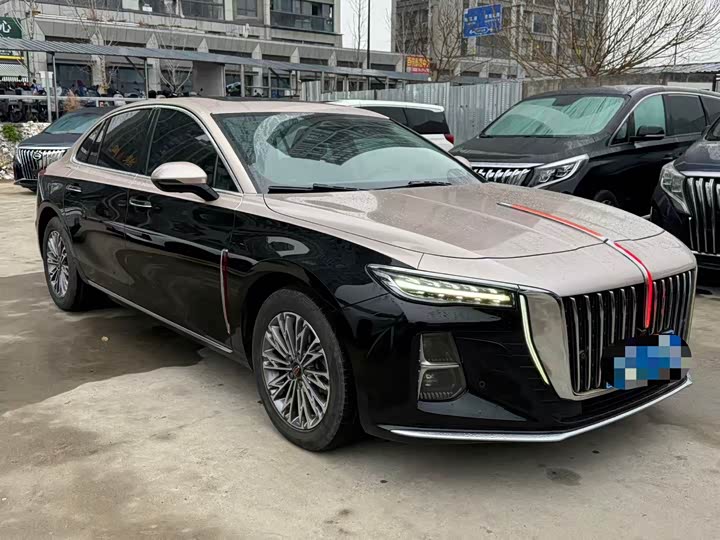 Фото 3 - Hongqi H5