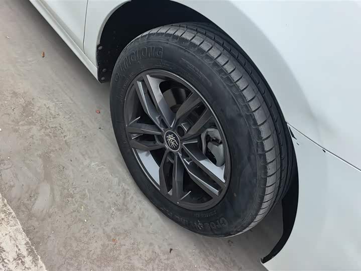 Фото 6 - BYD Qin Pro