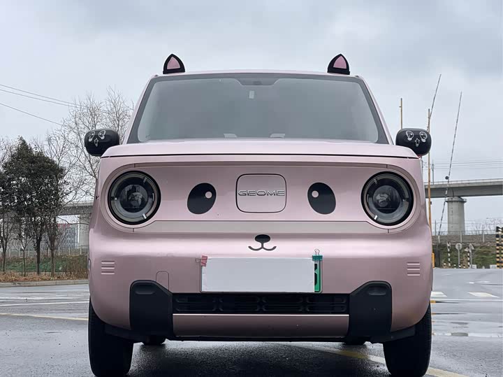 Фото 2 - Geely Galaxy Panda Mini