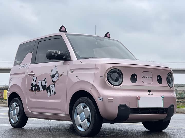 Фото 3 - Geely Galaxy Panda Mini
