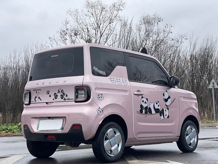 Фото 7 - Geely Galaxy Panda Mini