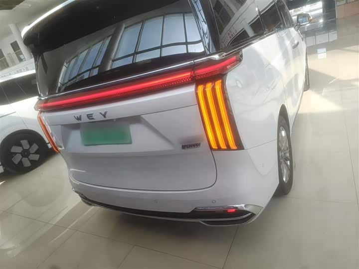 Фото 6 - Wey Gaoshan