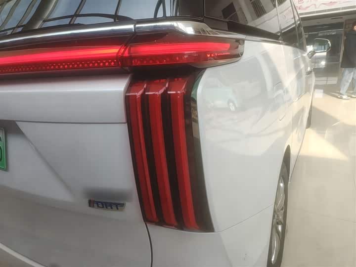 Фото 8 - Wey Gaoshan