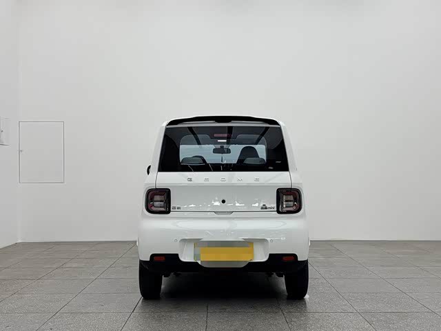 Фото 5 - Geely Galaxy Panda Mini