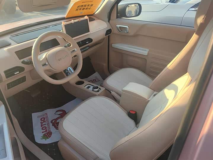 Фото 9 - Geely Galaxy Panda Mini