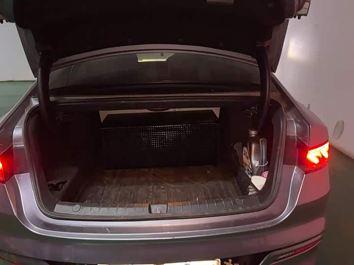 Фото 4 - BYD Qin Plus