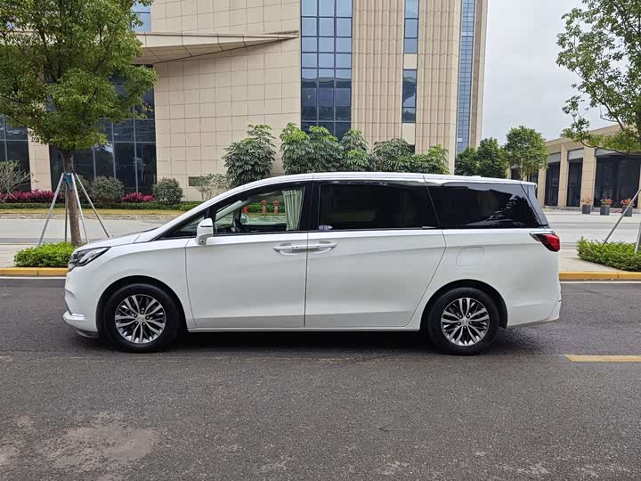 Фото 4 - Buick GL8 ES