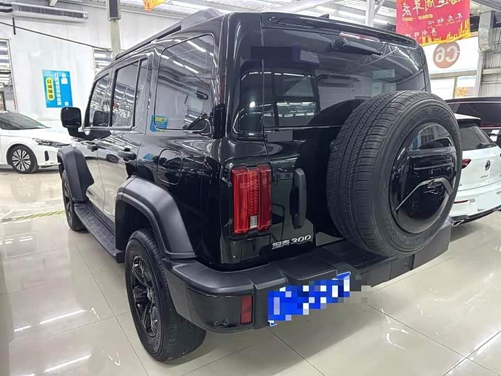 Фото 7 - Tank 300