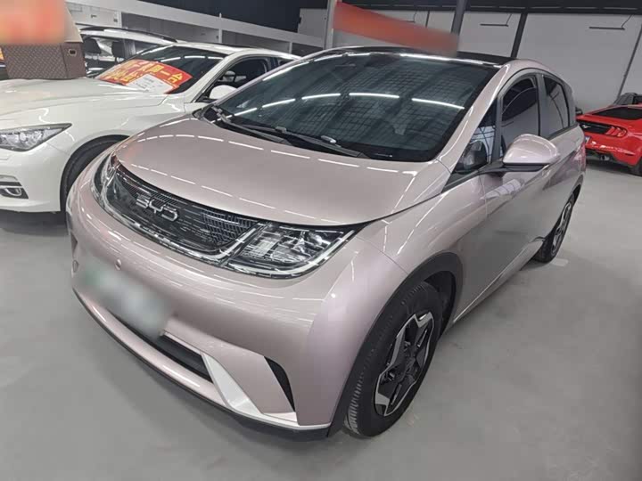 Фото 1 - BYD Dolphin