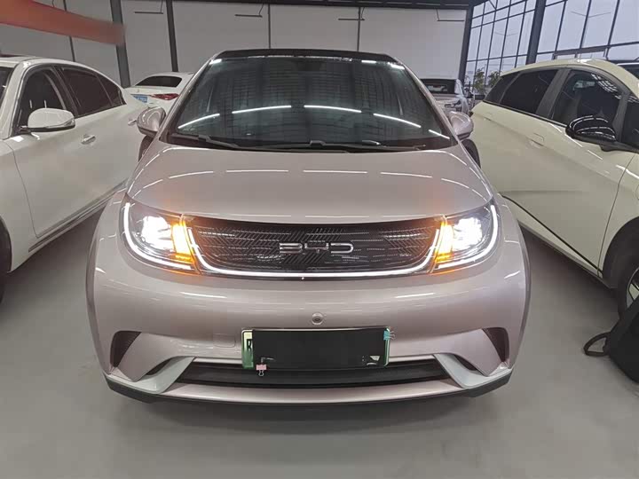 Фото 3 - BYD Dolphin