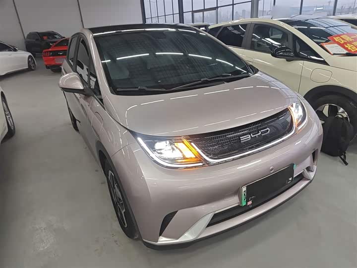 Фото 4 - BYD Dolphin