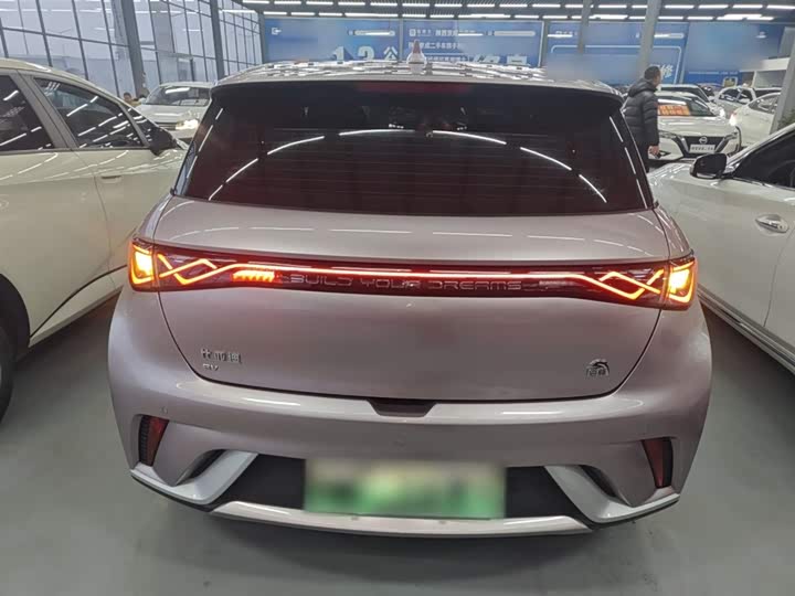 Фото 6 - BYD Dolphin