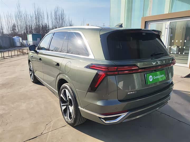 Фото 5 - Wey Lanshan