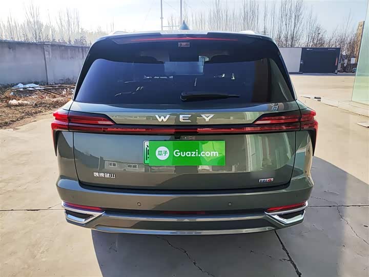 Фото 6 - Wey Lanshan