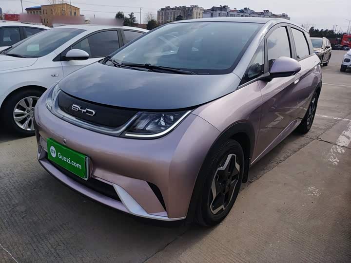 Фото 2 - BYD Dolphin