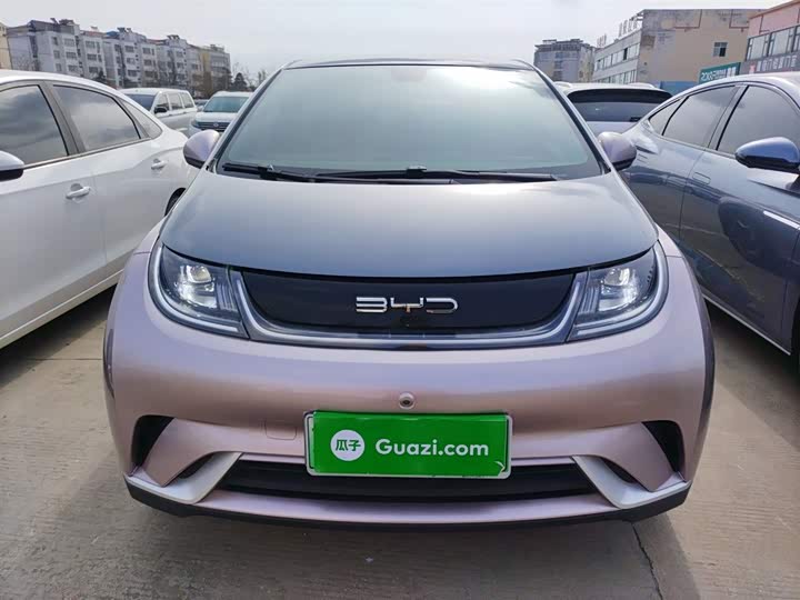 Фото 3 - BYD Dolphin