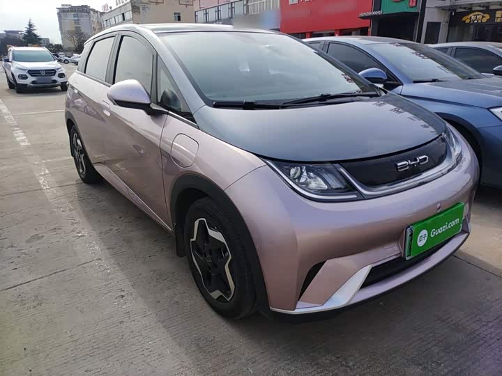 Фото 4 - BYD Dolphin