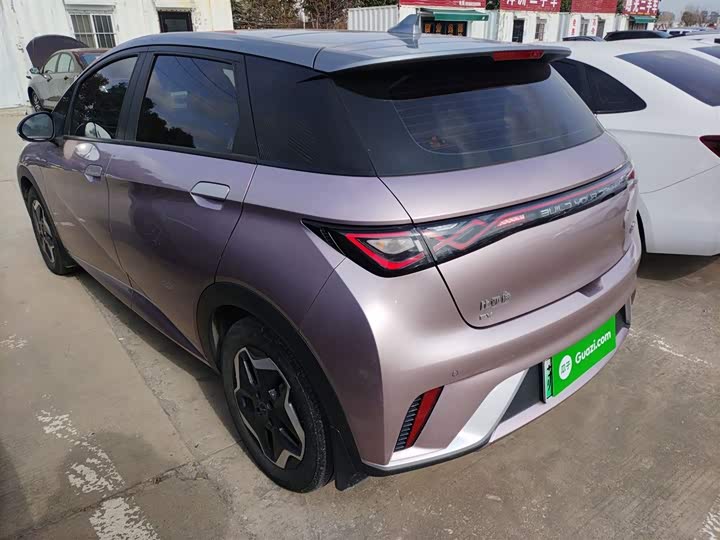 Фото 5 - BYD Dolphin