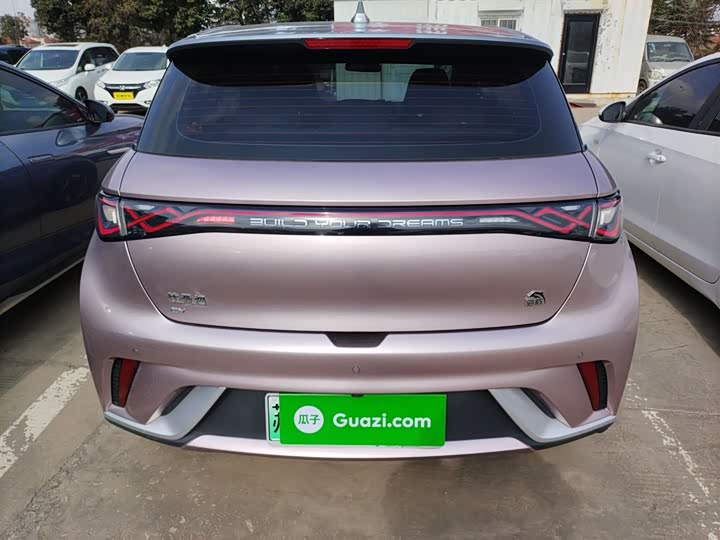 Фото 6 - BYD Dolphin