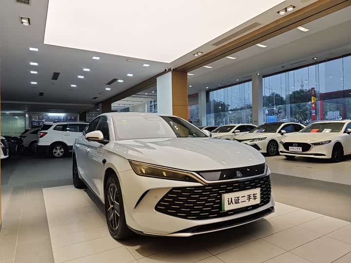 Фото 4 - BYD Qin L