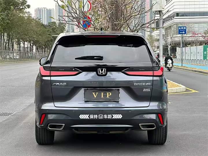 Фото 8 - Honda Breeze