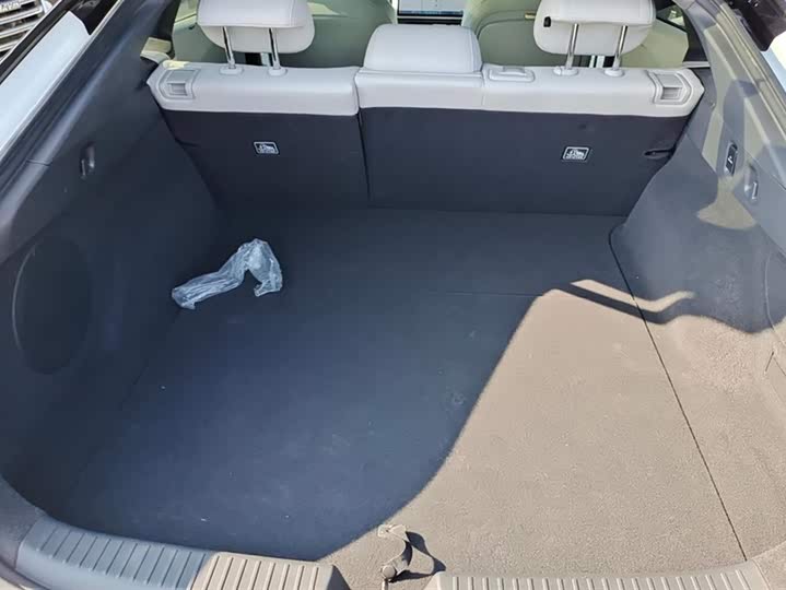 Фото 4 - XPeng F57