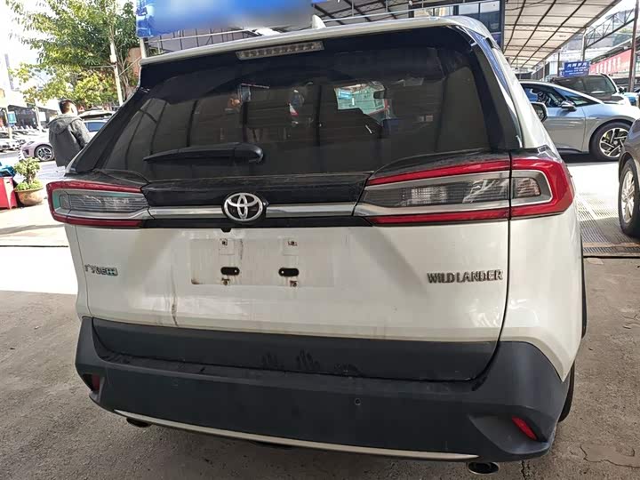 Фото 6 - Toyota Wildlander