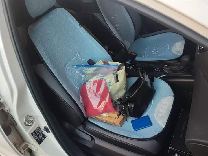 Фото 8 - Toyota Corolla