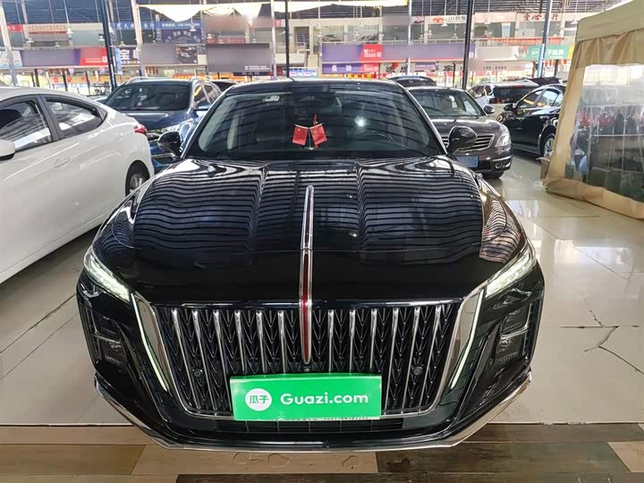 Фото 3 - Hongqi H5