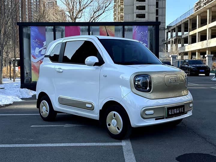 Фото 3 - Bestune Pony