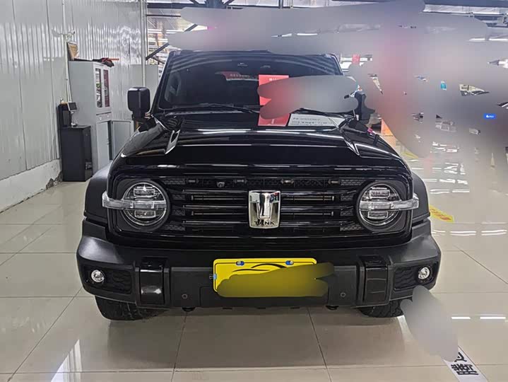 Фото 2 - Tank 300