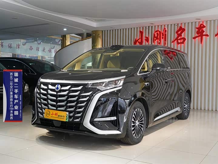 Фото 1 - Denza D9