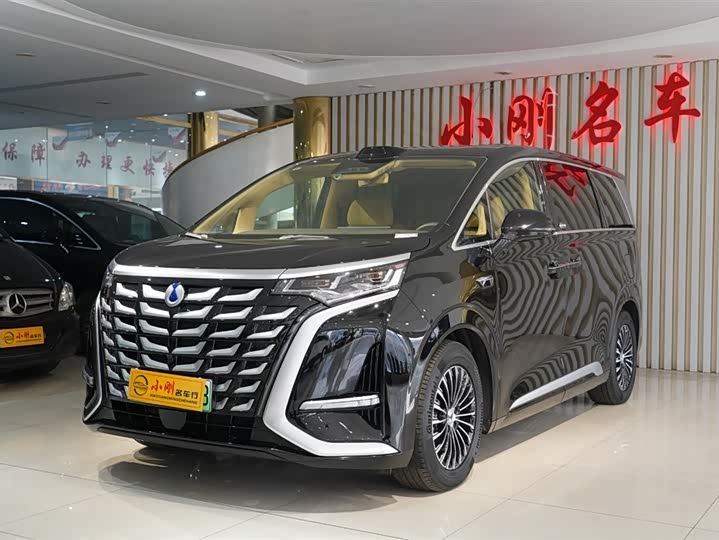 Фото 2 - Denza D9