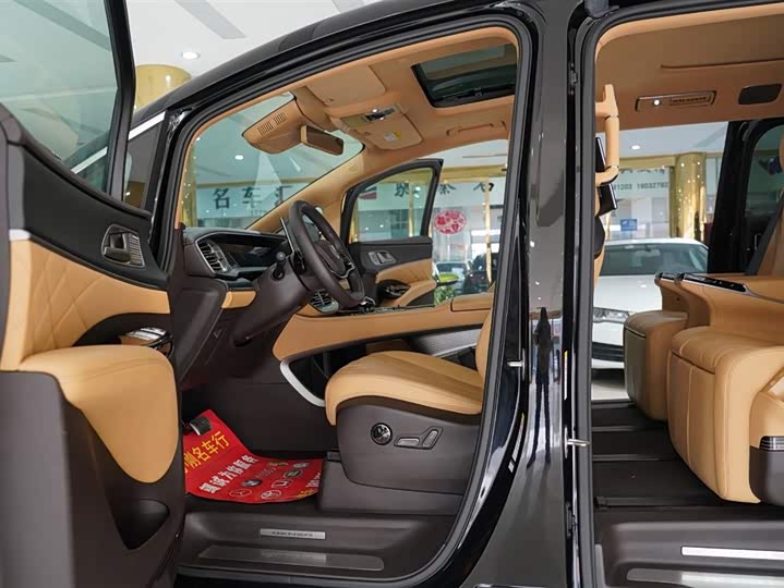 Фото 5 - Denza D9