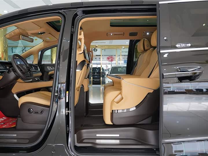 Фото 6 - Denza D9