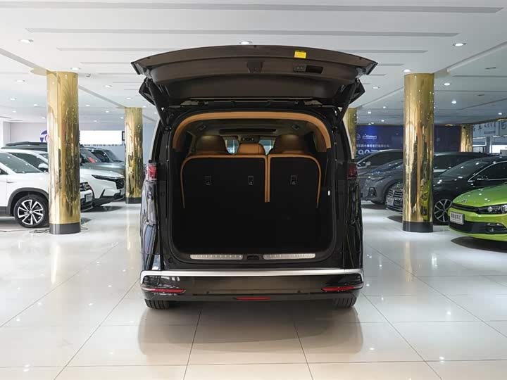 Фото 7 - Denza D9