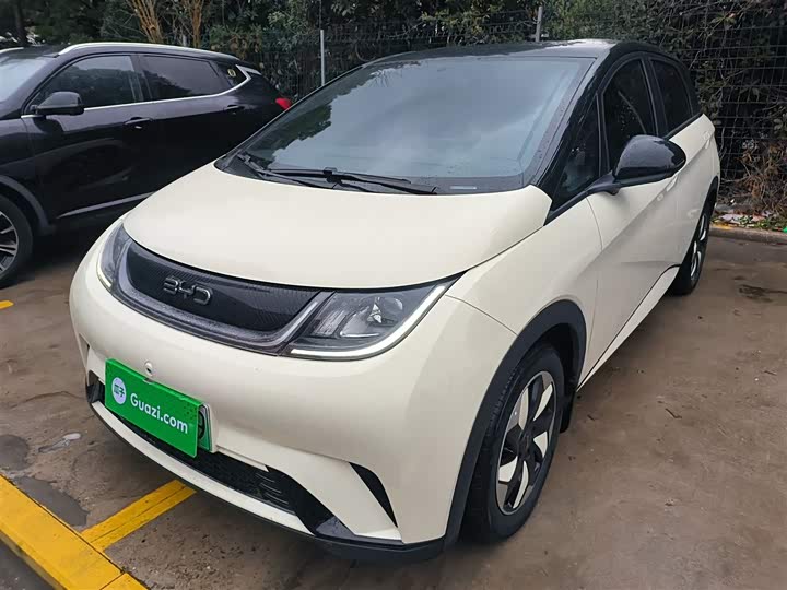 Фото 1 - BYD Dolphin