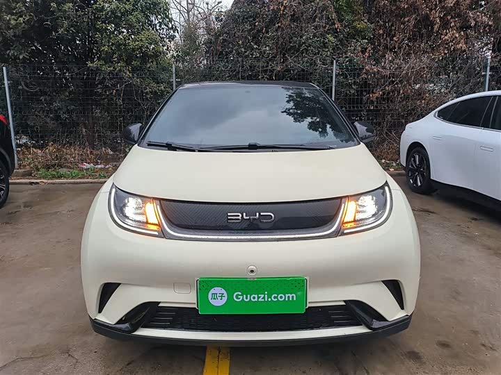 Фото 3 - BYD Dolphin