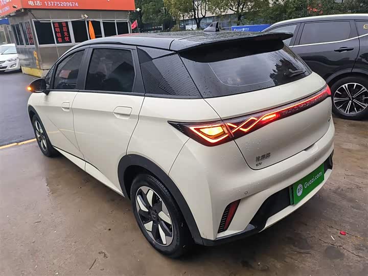 Фото 5 - BYD Dolphin