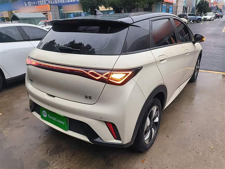 Фото 7 - BYD Dolphin