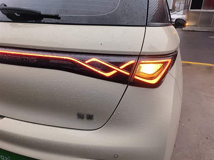 Фото 8 - BYD Dolphin