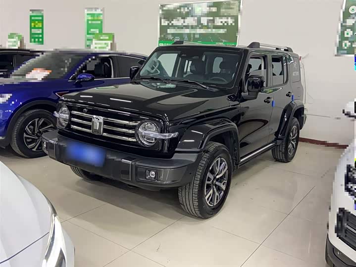 Фото 2 - Tank 300