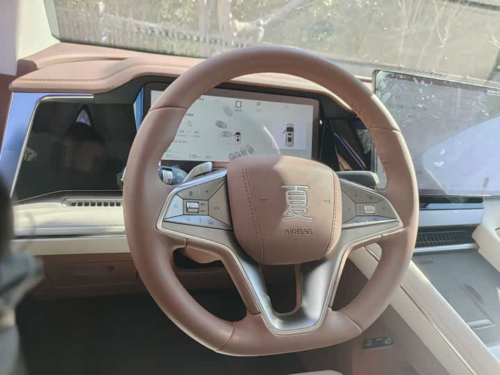 Фото 5 - BYD Xia