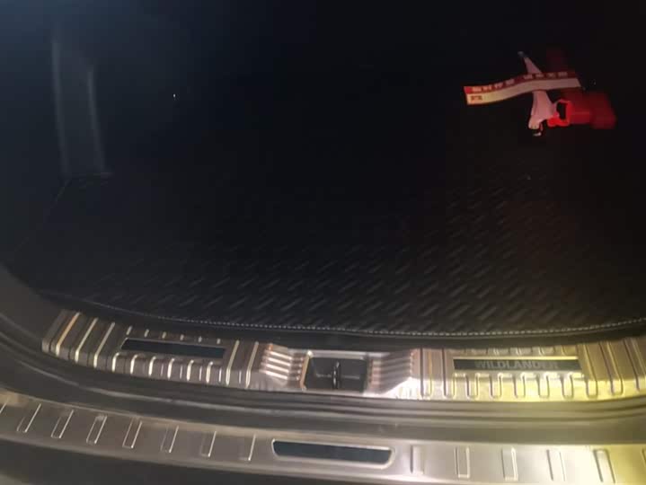 Фото 4 - Toyota Wildlander